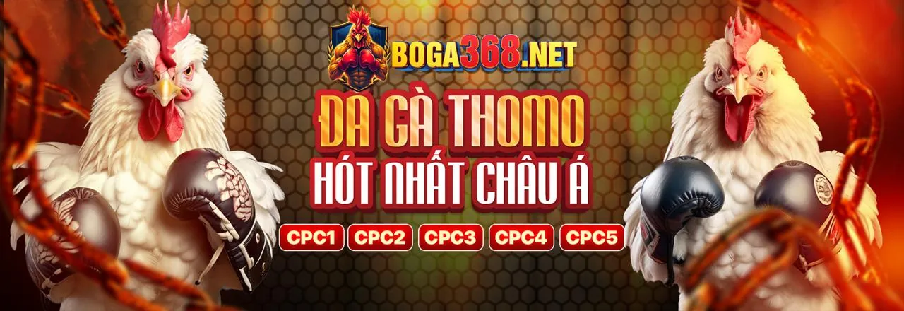 Tổng quan nền tảng vin77722